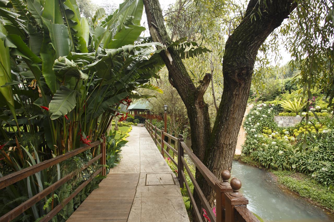 Quinta Sauz Otel Tacámbaro de Codallos Dış mekan fotoğraf